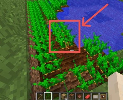 我的世界金蘿蔔怎麼製作？