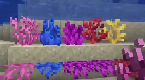 我的世界珊瑚怎麼挖？