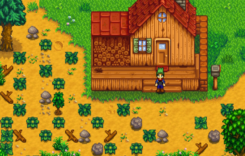 星露穀物語耕種10級選什麼？