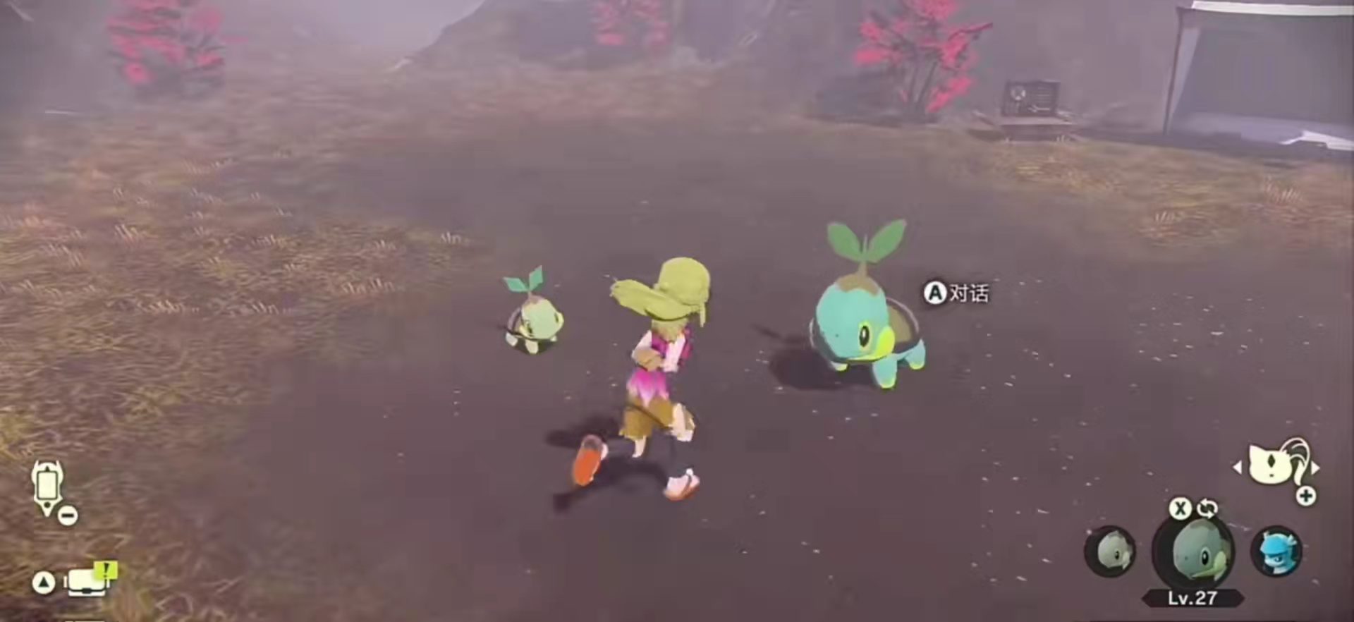 寶可夢傳說：阿爾宙斯草苗龜哪裡抓？