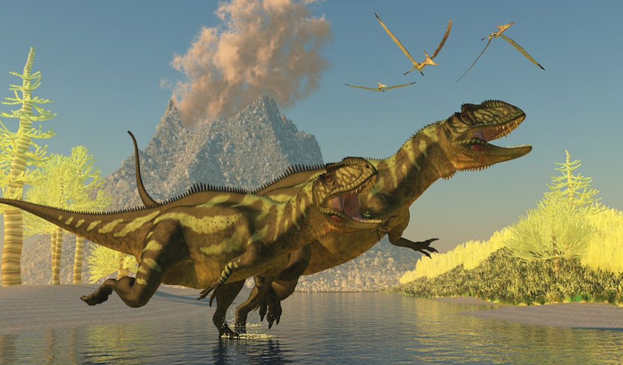 方舟上古神器之智慧在哪裡？