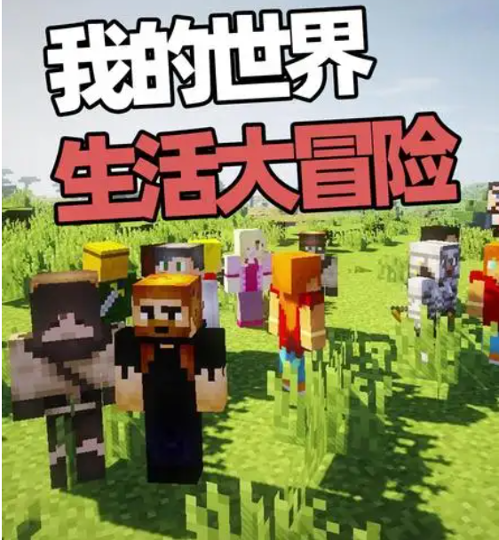 我的世界生活大冒險怎麼結婚？