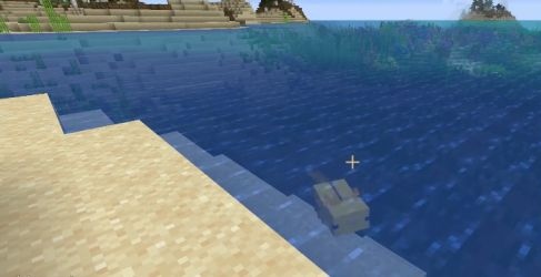 我的世界美西螈怎麼抓？