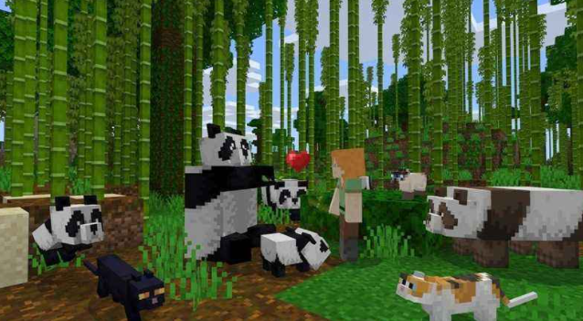 我的世界經驗修補英文是什麼？