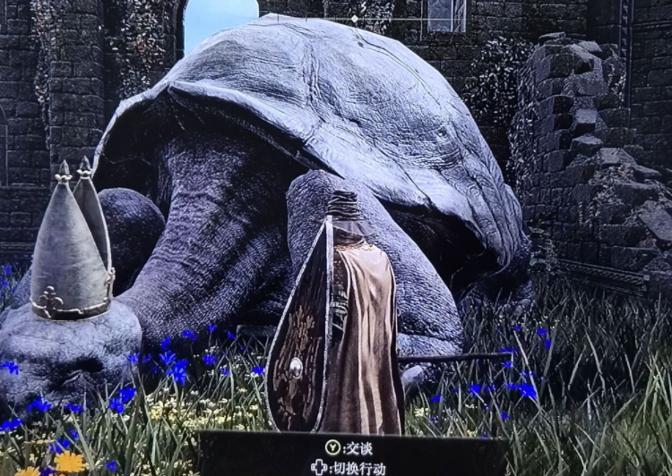 艾爾登法環烏龜怎麼上去？