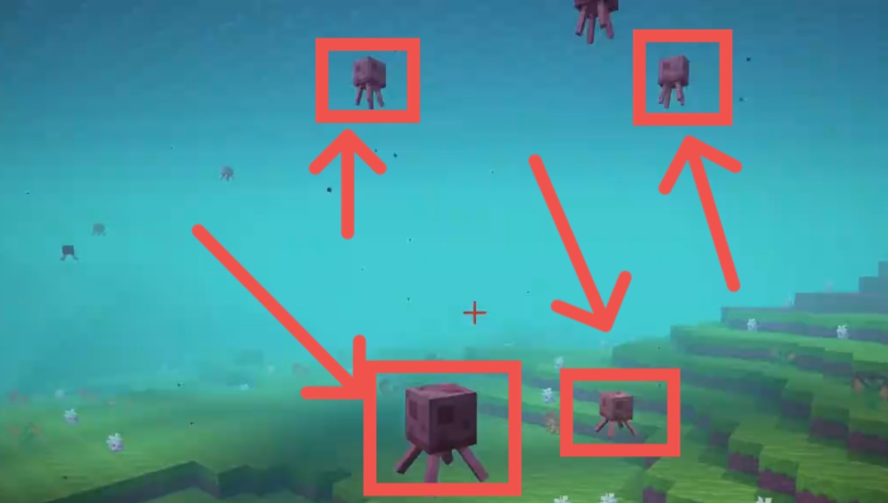 我的世界怎麼找到水母？