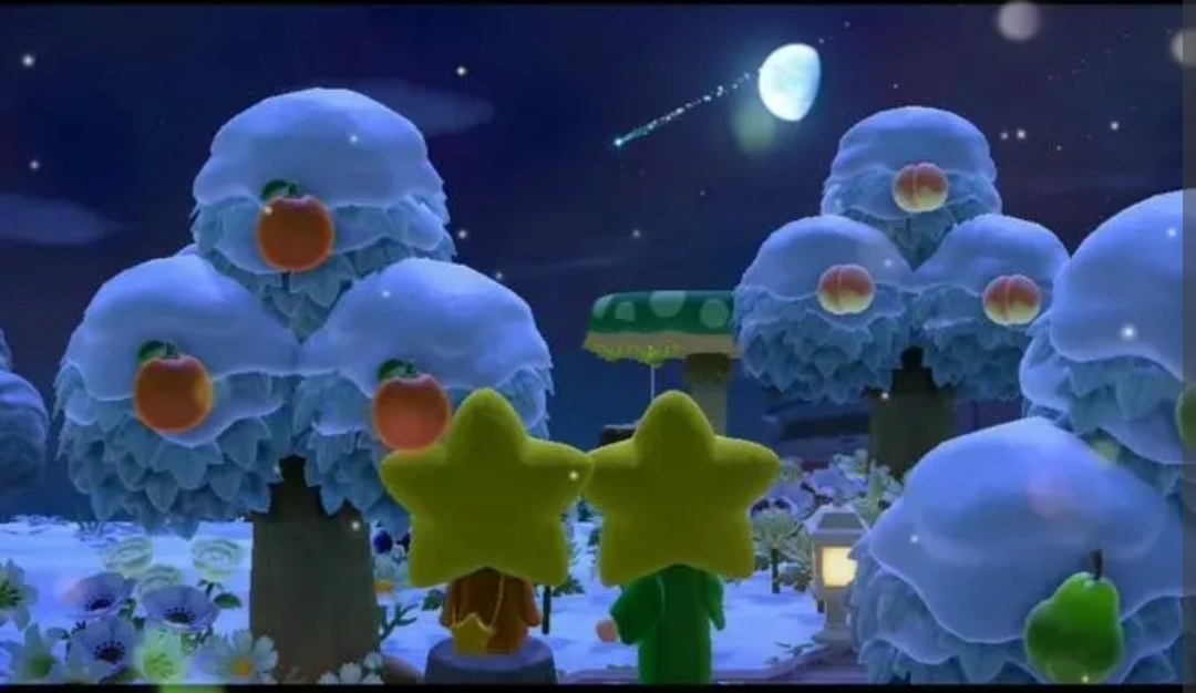 集合啦！動物森友會流星雨最多許願幾次？