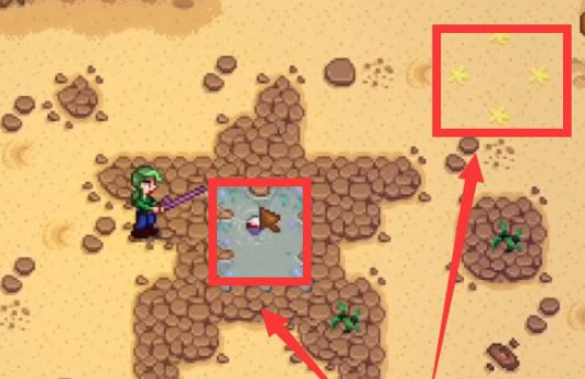 星露穀物語金色核桃全部位置？