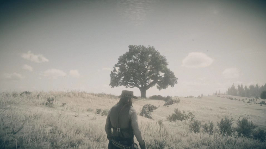 荒野大鏢客2傳說狼皮怎麼處理？