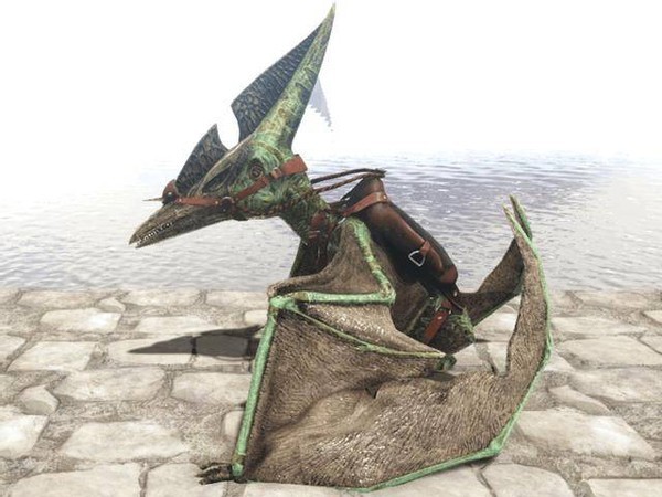 方舟生存進化翼龍吃什麼？