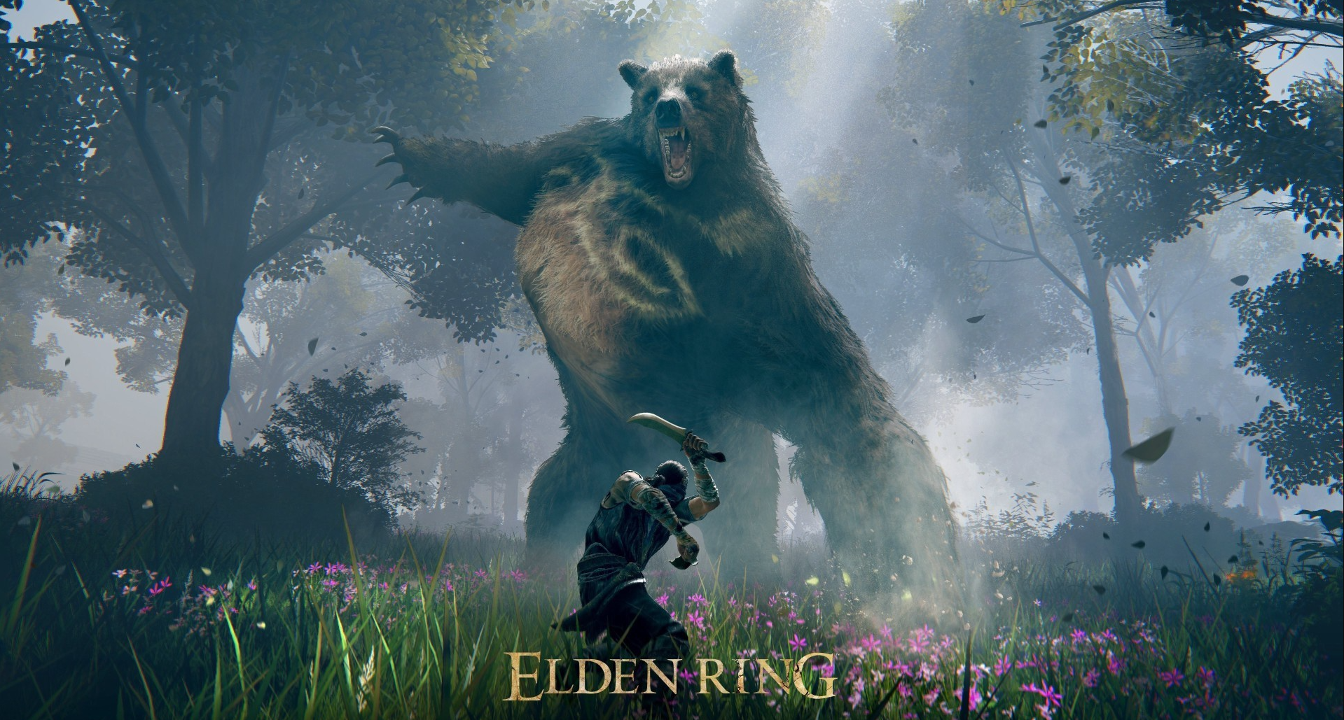 艾爾登法環 發狂怎麼辦？