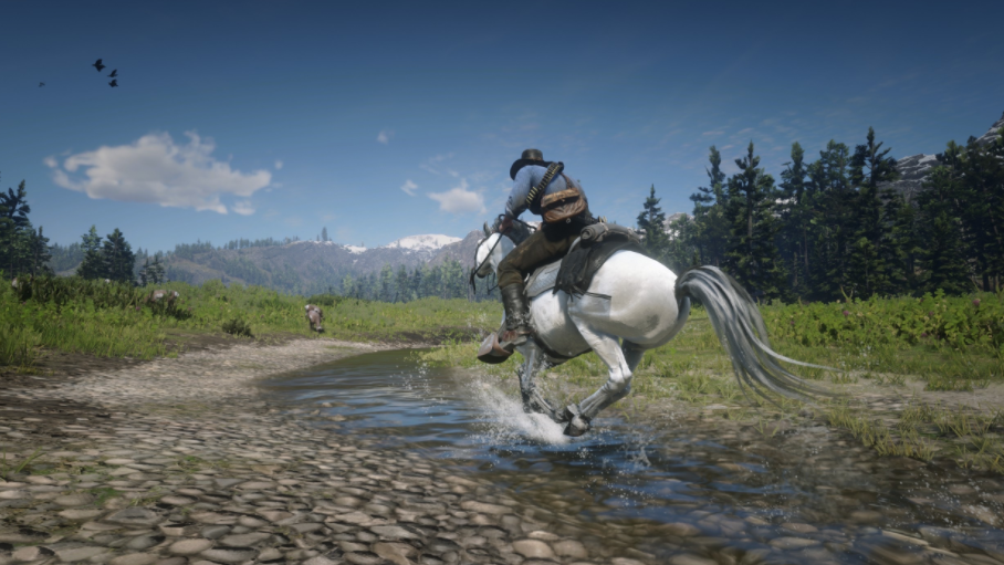 荒野大鏢客2小鬼槍手傳怎麼交任務？