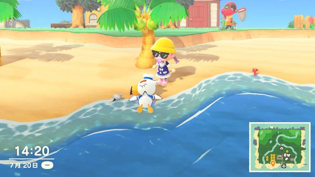 《集合啦！動物森友會》呂游系列傢具帽子收集攻略心得