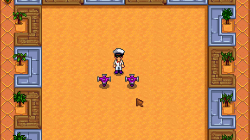 星露谷甜菜種子哪裡有賣？