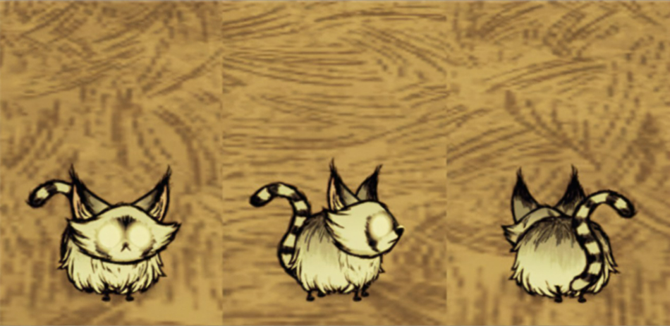 飢荒小浣貓怎麼找？