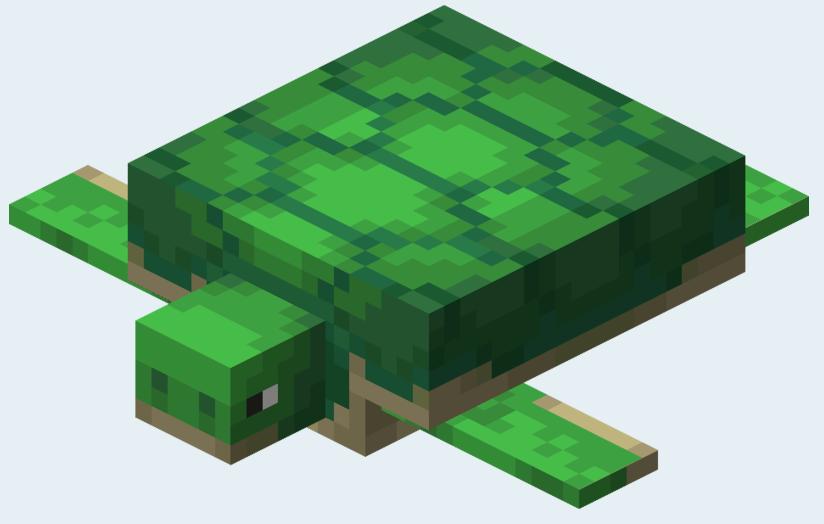 我的世界海龜吃什麼？