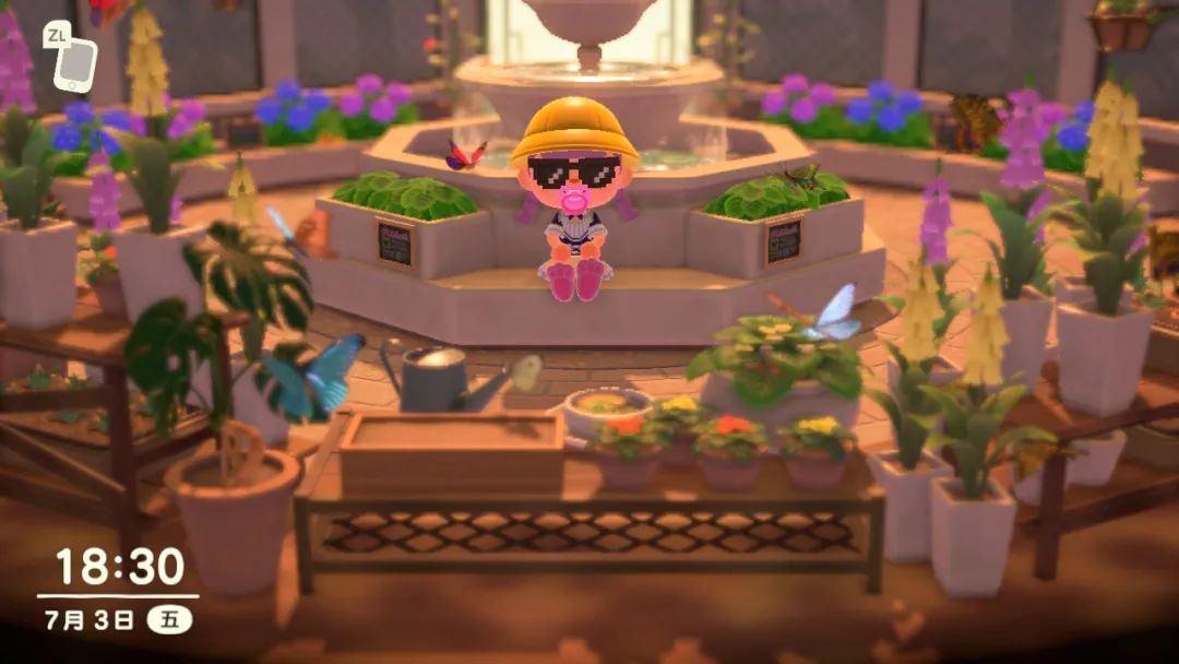 《集合啦！動物森友會》7月份南半球生物資料與收集攻略