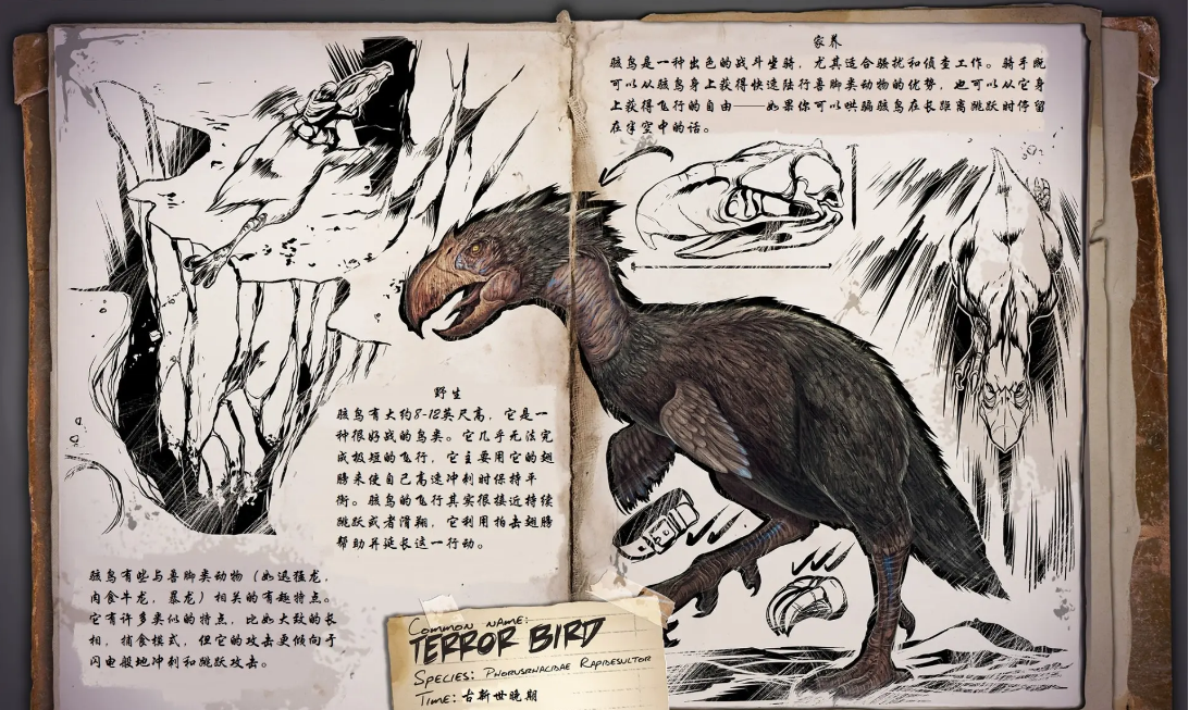 駭鳥怎麼馴服？