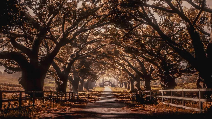 荒野大鏢客2開發費用是多少？