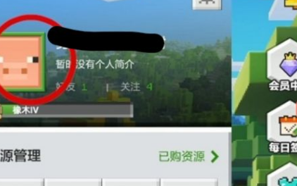 我的世界怎麼改名字？