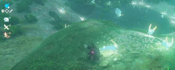 塞爾達里的盧咪是誰？