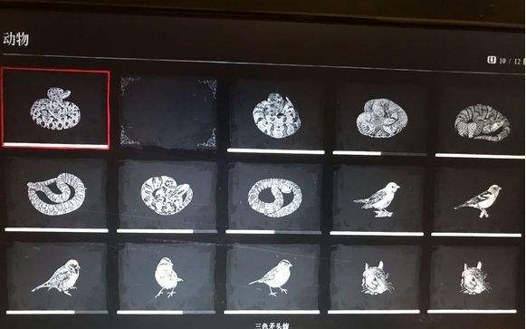 大鏢客2瓜瑪島有哪些需要做的？