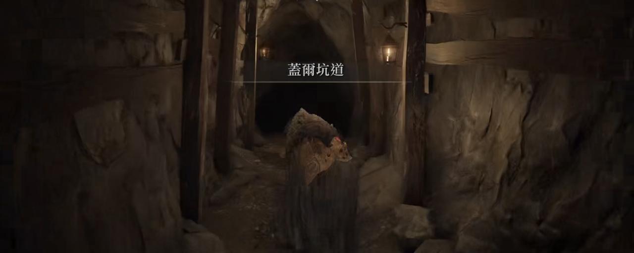 艾爾登法環蓋爾坑道在哪？