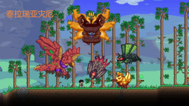 泰拉瑞亞災厄全物品介紹是什麼？