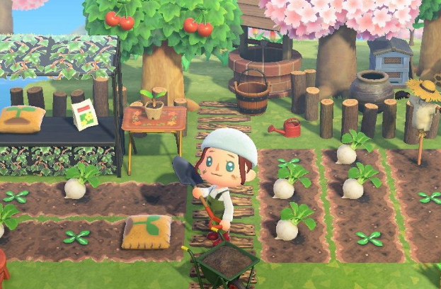 動物森友會為什麼去巴獵島沒有廣場?