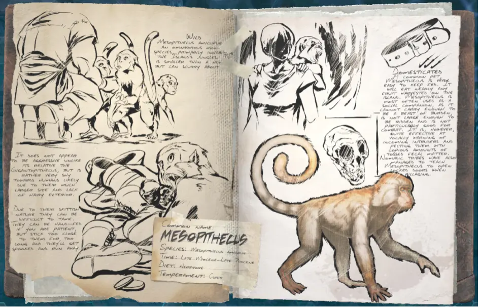 方舟：生存進化中猴在哪裡刷新？