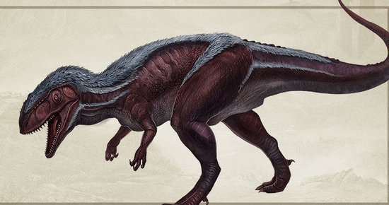 方舟斑龍在什麼地方？