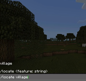 我的世界村莊指令都有什麼？