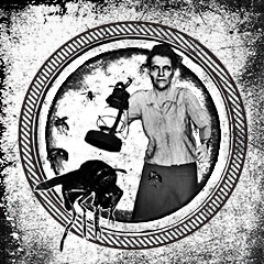 如何獲得獎盃貝克夫人，不用你管！以及難點心得?