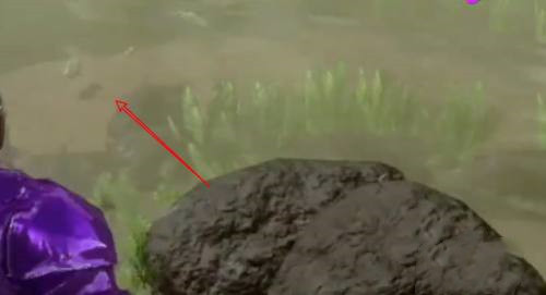 方舟手游任務抓3條魚怎麼做？