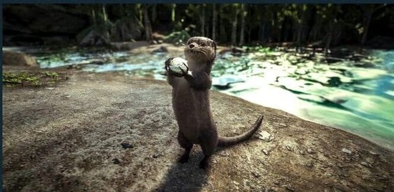 方舟水獺代碼是多少？