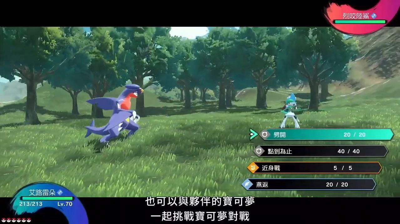 阿爾宙斯支持本地雙人對戰嗎？