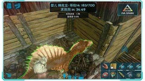 方舟優質肉怎麼獲得快？