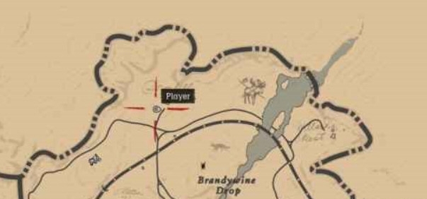 荒野大鏢客2線上舞菇位置在哪？