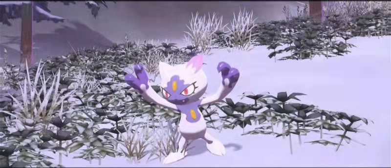 寶可夢阿爾宙斯傳說紐拉怎麼進化？