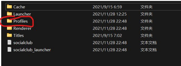 大鏢客2照片模式pc截圖在哪？
