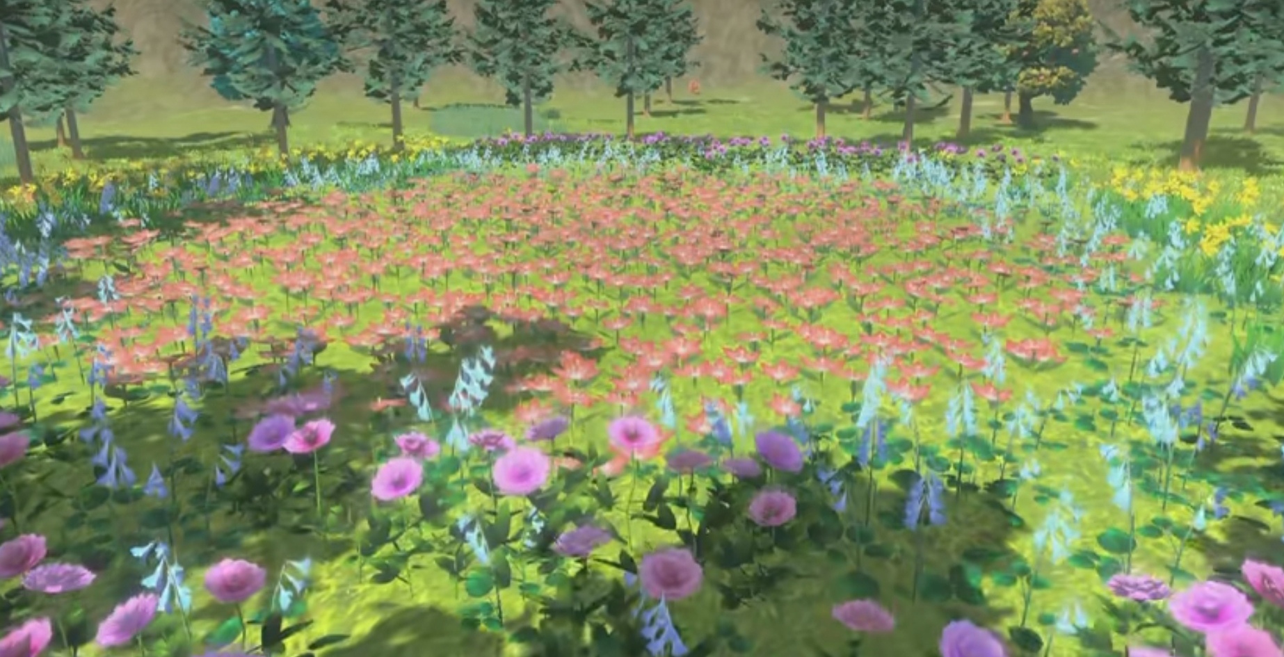 阿爾宙斯花海在哪？