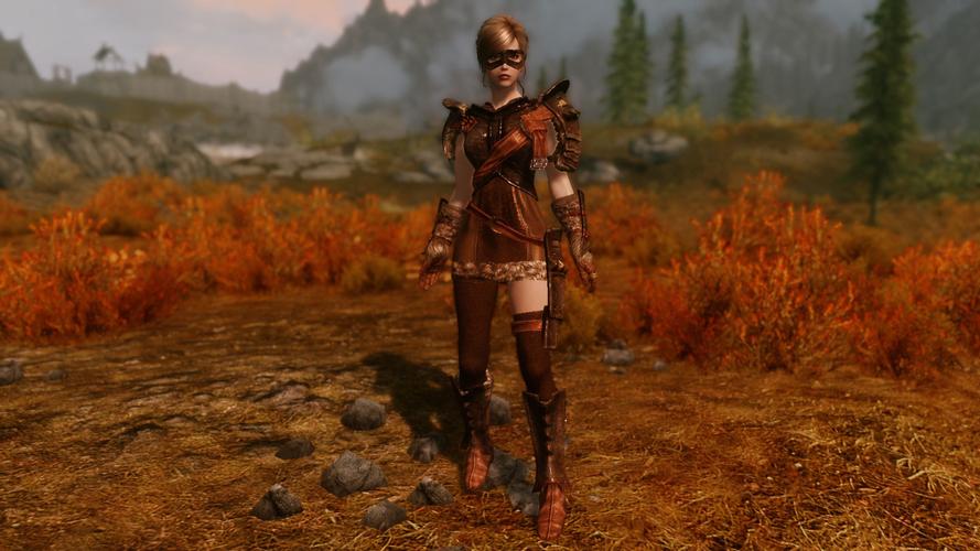 上古捲軸5：天際怎麼給隨從換裝備？