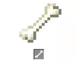 我的世界怎麼大量獲得骨頭？