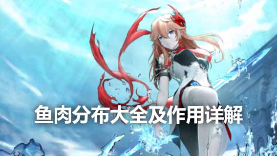 魚肉分布大全及作用詳解