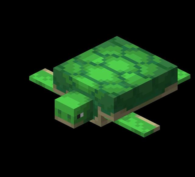 我的世界海龜怎麼繁殖？