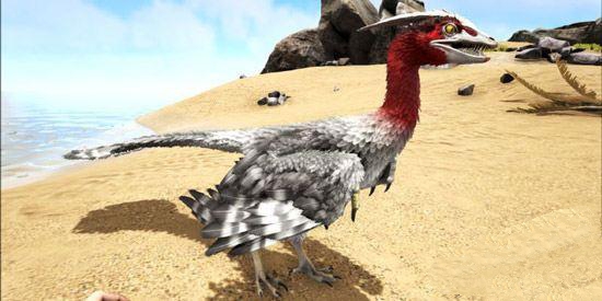 方舟：生存進化肩上的寵物排行和作用是什麼？