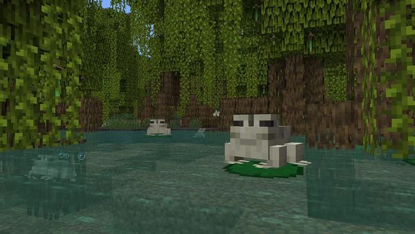 《我的世界》Switch版「狂野更新」情報公開