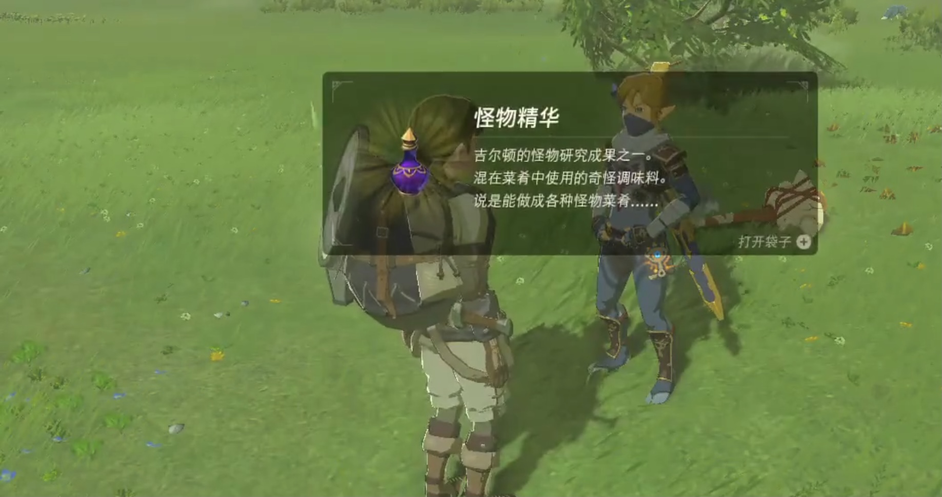 塞爾達怪物精華哪裡獲取？