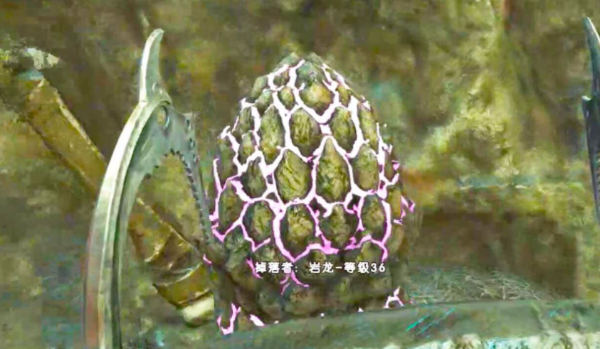 方舟龍蛋飼料配方有哪些？