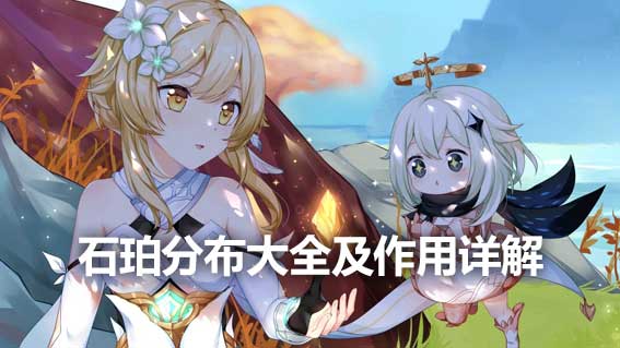 石珀分布大全及作用詳解